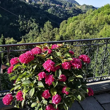 Oleandro Bed & Breakfast Casima